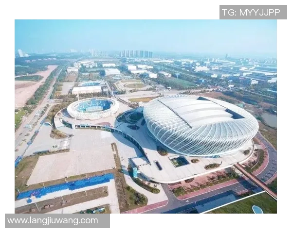 武汉网球队的精神探索与网球文化的深度融合之旅